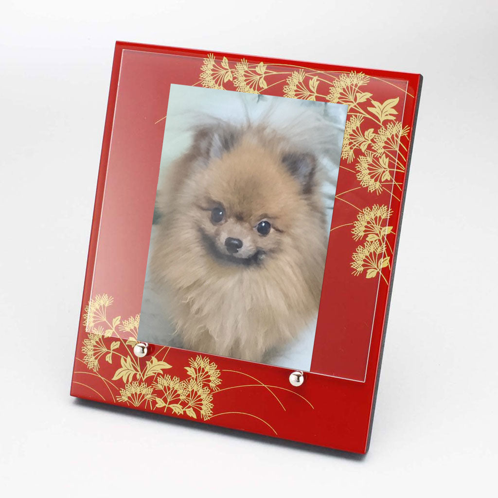 Fujibakama photo stand