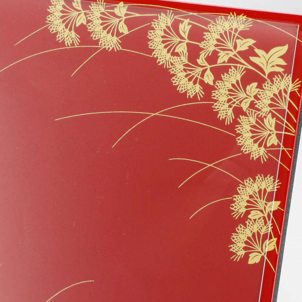 Fujibakama photo stand