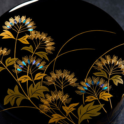 Fujibakama round-shaped 3.8S  box