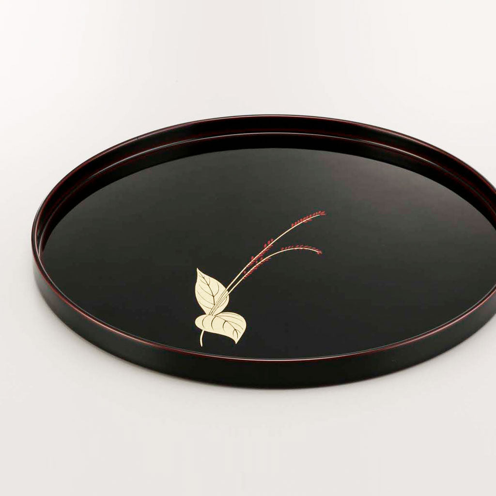 Mizuhikisou tray